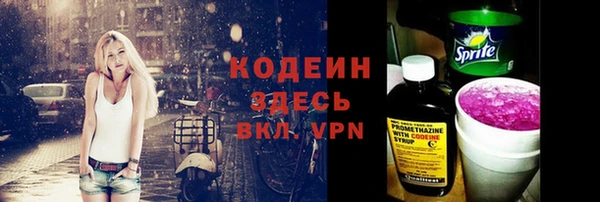 СК Новозыбков