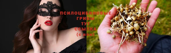 СК Новозыбков