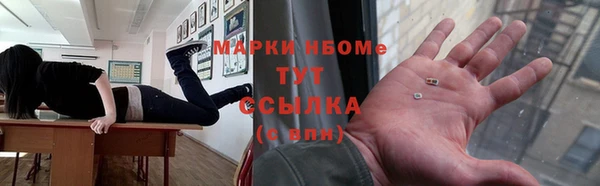СК Новозыбков