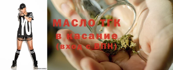 СК Новозыбков