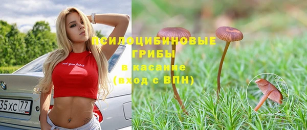 каннабис Новодвинск