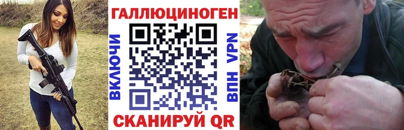 Псилоцибиновые грибы Psilocybine cubensis Купить Гаврилов Посад