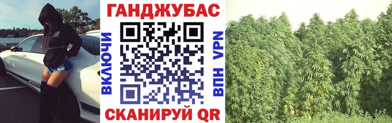Купить где  Гаврилов Посад  Бошки Шишки ГИДРОПОН 